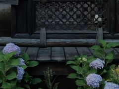 -慢丽江·云南野生菌土鸡锅(西山店)