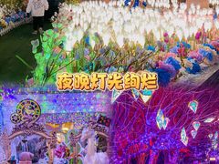 -天津方特欢乐世界