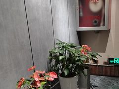 -77号渔船·蒸海鲜青岛菜(积米崖店)