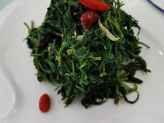凉拌枸杞芽-小叶手抓(解放东街店)