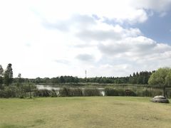 -东平国家森林公园