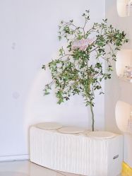 -ST时柒·问题肌抗衰美颜所