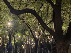 -金鸡湖景区