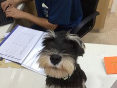 -芭比堂动物医院·24小时·眼科中心(深圳中心)