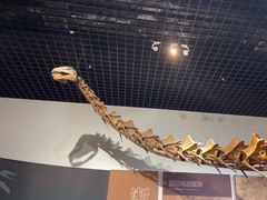 -衢州市博物馆