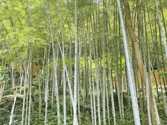 -灵隐飞来峰景区