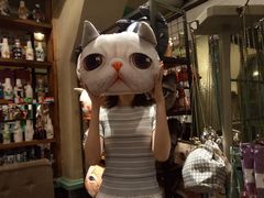 -猫咪博物馆(顶澳仔猫街店)