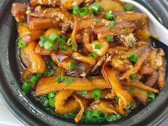 -大班家政月嫂育儿嫂(深圳NO.1店)