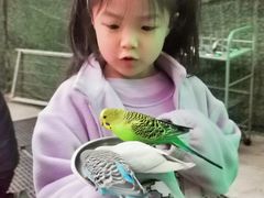 -史努比缤纷世界