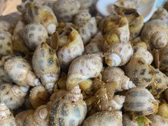 -大东海海鲜酒楼(渔人码头总店)