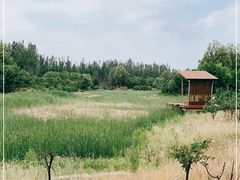 -东郊湿地公园