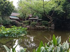 -望江楼公园