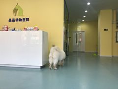 -瑞鹏宠物医院·爱宠堂·骨外专科(西荷分院)
