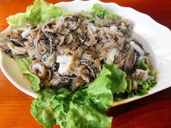 鲜毛肚-大草原清真饭庄(沙河店)