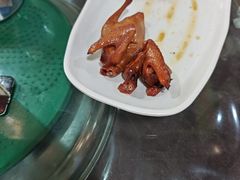 -东鸽皇(奥园·中环广场店)