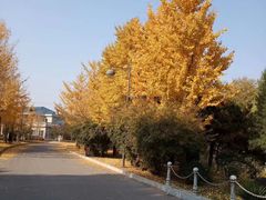 -中家鑫园温泉酒店鑫悦汤泉