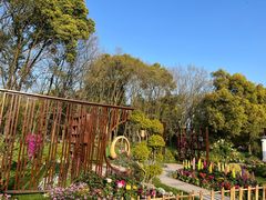 -上海共青森林公园