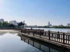 -莲花池公园