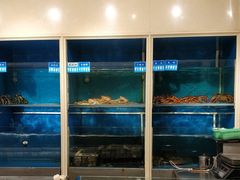 水产区-金时代顺风大酒店(协泰店)