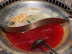 -辣伍鲜毛肚老火锅(元一店)