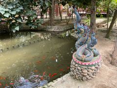 -呀路古热带植物园