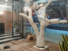 -袖虎·猫馆(体育西路店)