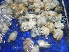 -活泼海鲜烧烤(美食街总店)