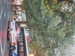 -上海哈尔滨食品厂(淮海中路店)