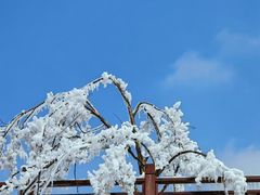 -庐山风景名胜区