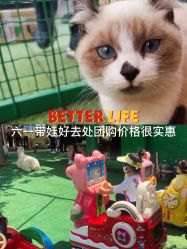 -萌宠亲子动物乐园(槐房万达店)