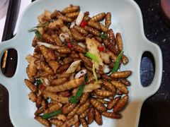 蚕蛹-OLD TREE老树咖啡·西餐厅(台山人工湖店)