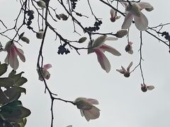-黄兴公园