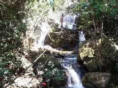 android_upload_pic-牛鱼嘴原始生态风景区