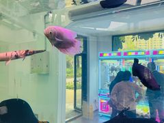 -宁波儿童公园(鄞州区)