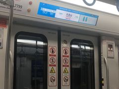 -大龙山(地铁站)