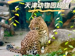 -天津市动物园