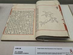 -台北故宫博物院