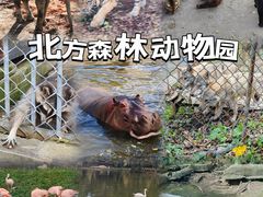 -哈尔滨北方森林动物园