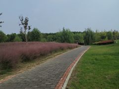 -南湖湿地公园