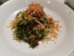 巧拌豆苗-四季民福烤鸭店(王府井灯市口店)
