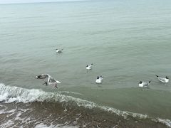 -青海湖二郎剑景区