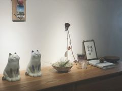 -猫里有甜