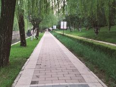 -元大都城垣遗址公园