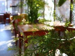 -腾爱熊猫咖啡生活馆(老东门店)