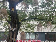 -丽泽山庄·生态怀柔菜·虹鳟鱼(红螺寺店)