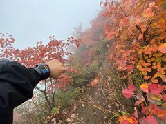 -秦岭风景区