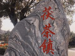 -茯茶镇