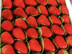 -果叔(红旗街店)