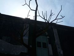 android_upload_pic-槟城街头艺术街区