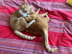 -新荟城(望京店)